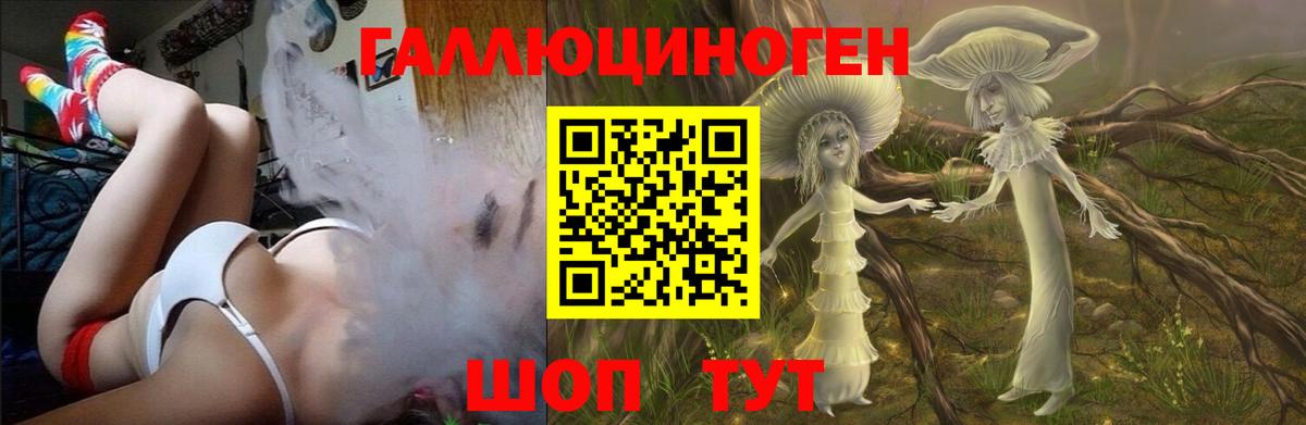 Верхняя Пышма  Галлюциногенные грибы Psilocybe  Вход с VPN 